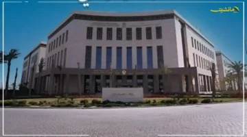 هام وعاجل.. توجيهات جديدة من وزارة التعليم للمدارس بشأن تدريس منهج كونكت بلس. 1